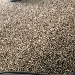 Meet your Posher, Kristy